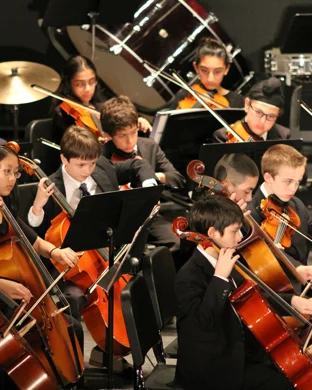 Salute To Vienna New Year's Concert