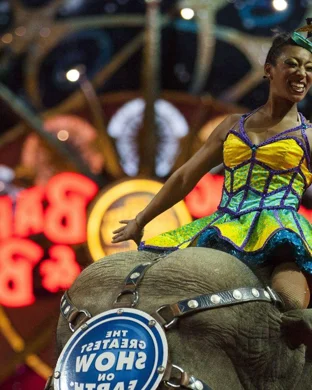 Summer Circus Spectacular