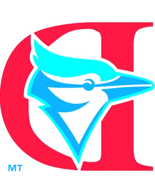 Dunedin Blue Jays vs. Tampa Tarpons