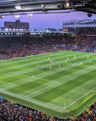 International Friendly: England vs. New Zealand