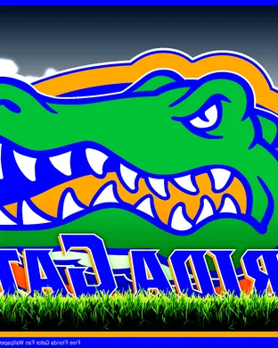 Florida Gators Tampa