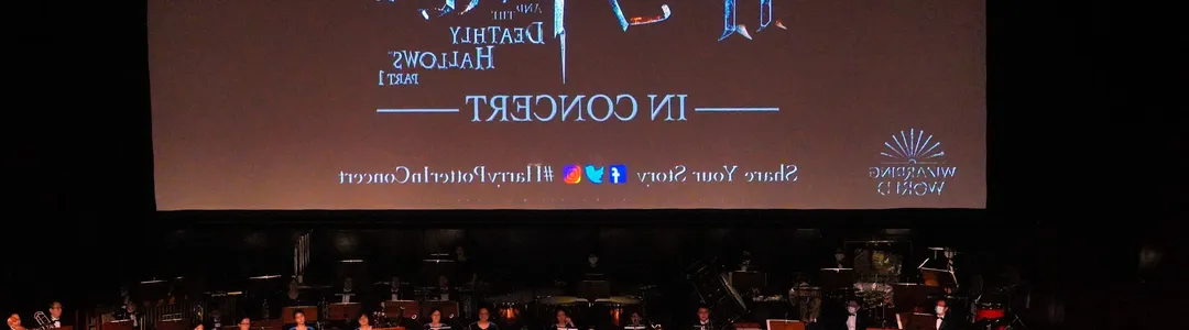 Harry Potter In Concert
