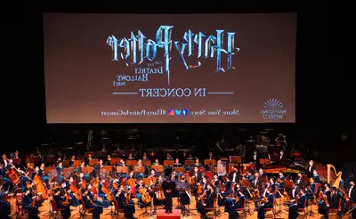 Harry Potter In Concert