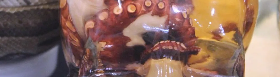 Oddities and Curiosities Expo