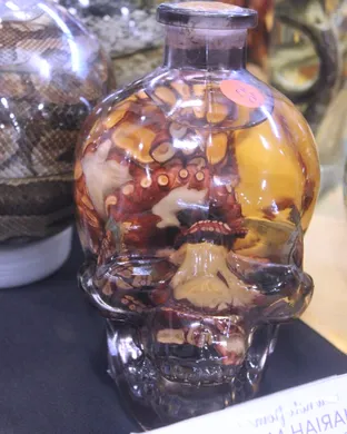 Oddities and Curiosities Expo