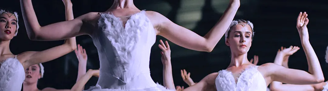 Sleeping Beauty in a Sparkling Show