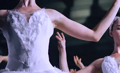 Sleeping Beauty in a Sparkling Show