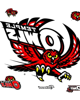 Temple Owls