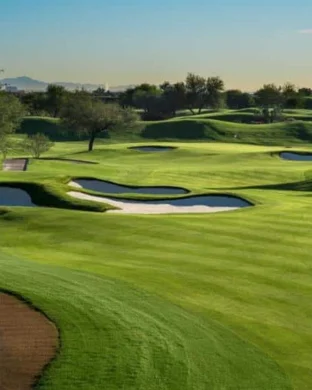The Annika vs. LPGA Tour