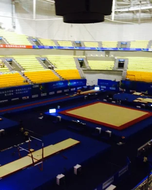 SEC Gymnastics Tampa